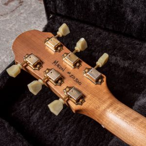 Patrick James Eggle Macon Special - Island Blue Burst - Aged Gold