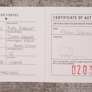 Patrick James Eggle Macon Special - Island Blue Burst - Aged Gold