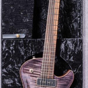 Patrick James Eggle Macon SC - H/P.90 -  Charcoal # 30708