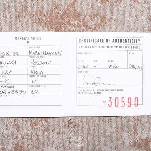 Patrick James Eggle Macon SC - H/H - Dirty Lemon Burst #30590