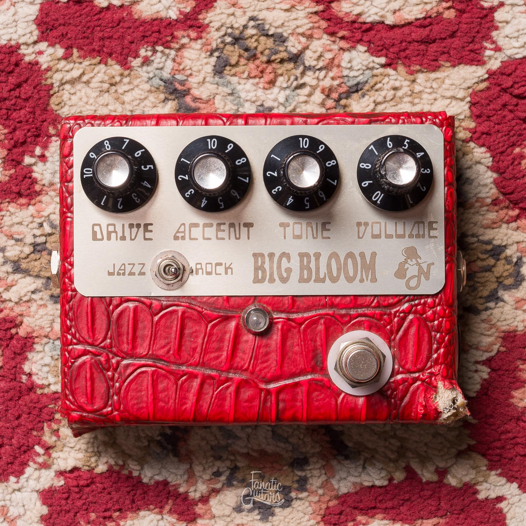 Amplified Nation Big Bloom Overdrive Second Hand