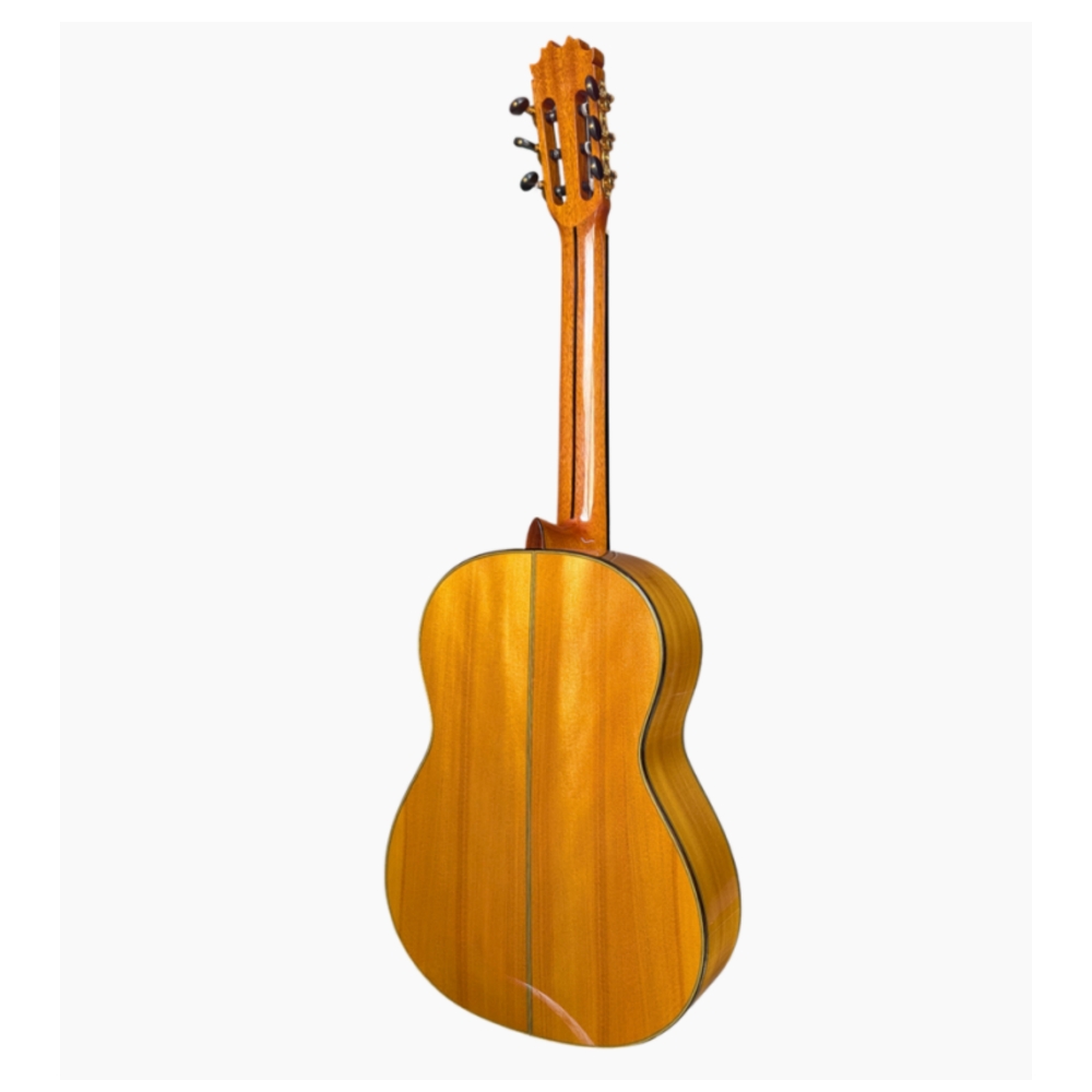 Antonio de Toledo Tomatito Andalucía Blanca Guitarra Flamenca