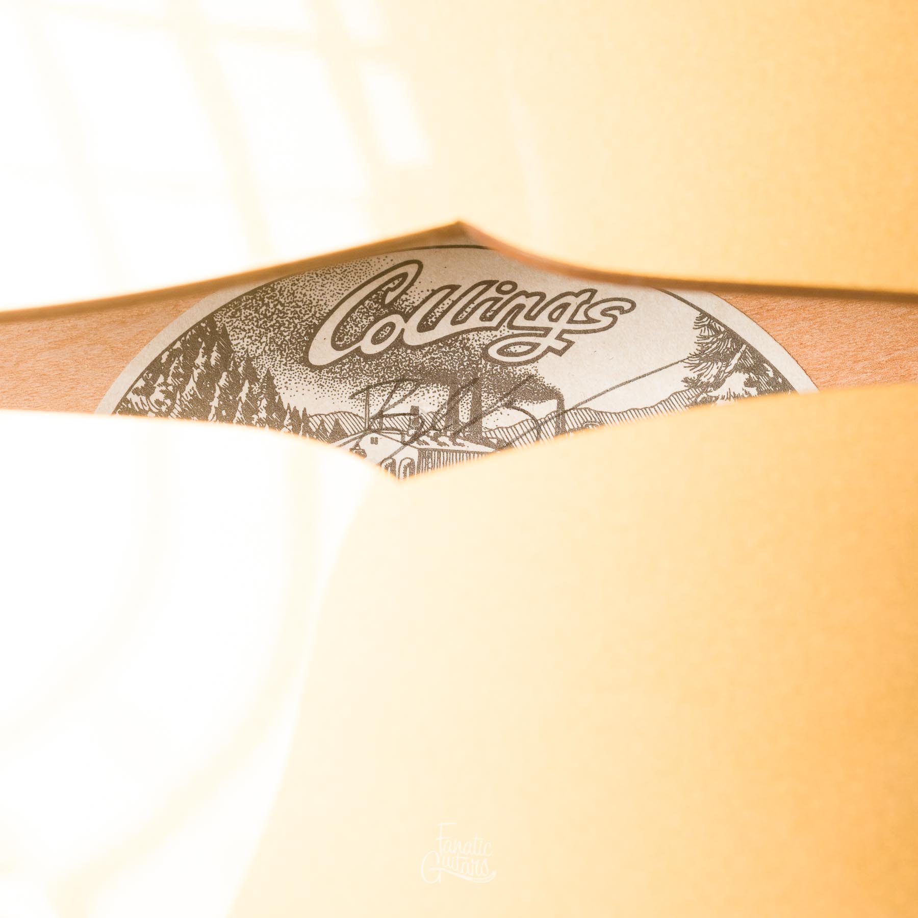 Collings Statesman LC - Goldtop #16034 Segunda Mano