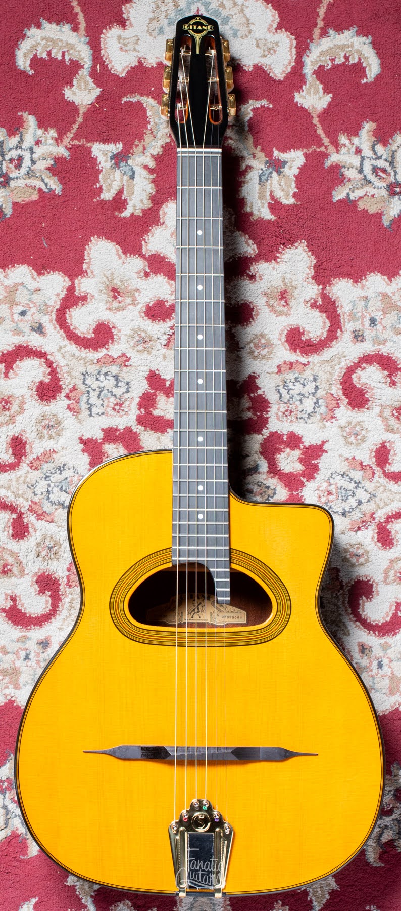 Gitane D-500 Profesional Gypsy Jazz #22090034 Second Hand