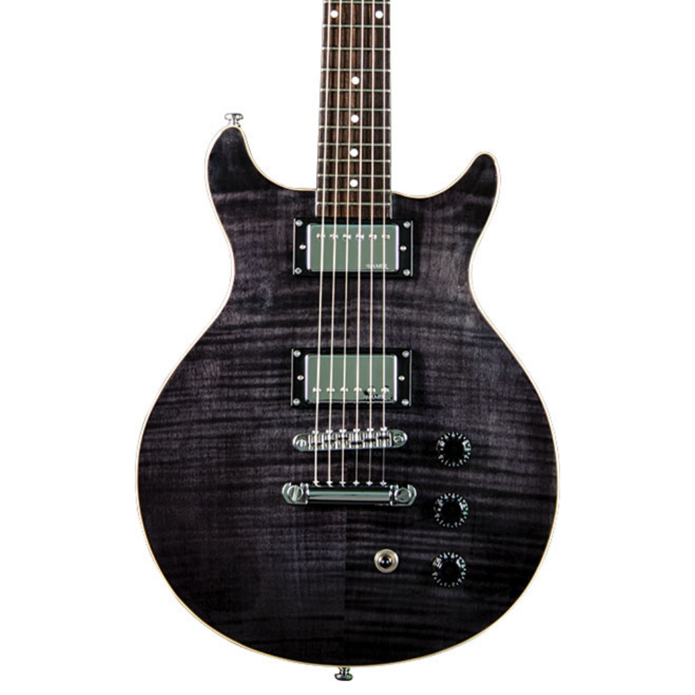 Hamer Guitars Archtop - Transparent Black