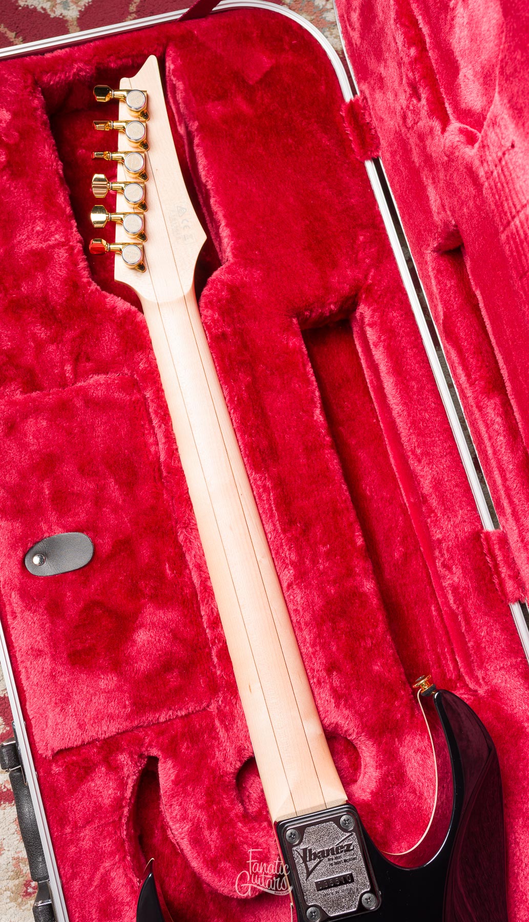 Ibanez Paul Gilbert PGM333 30th Anniversary - Gold #F1915688 Segunda Mano