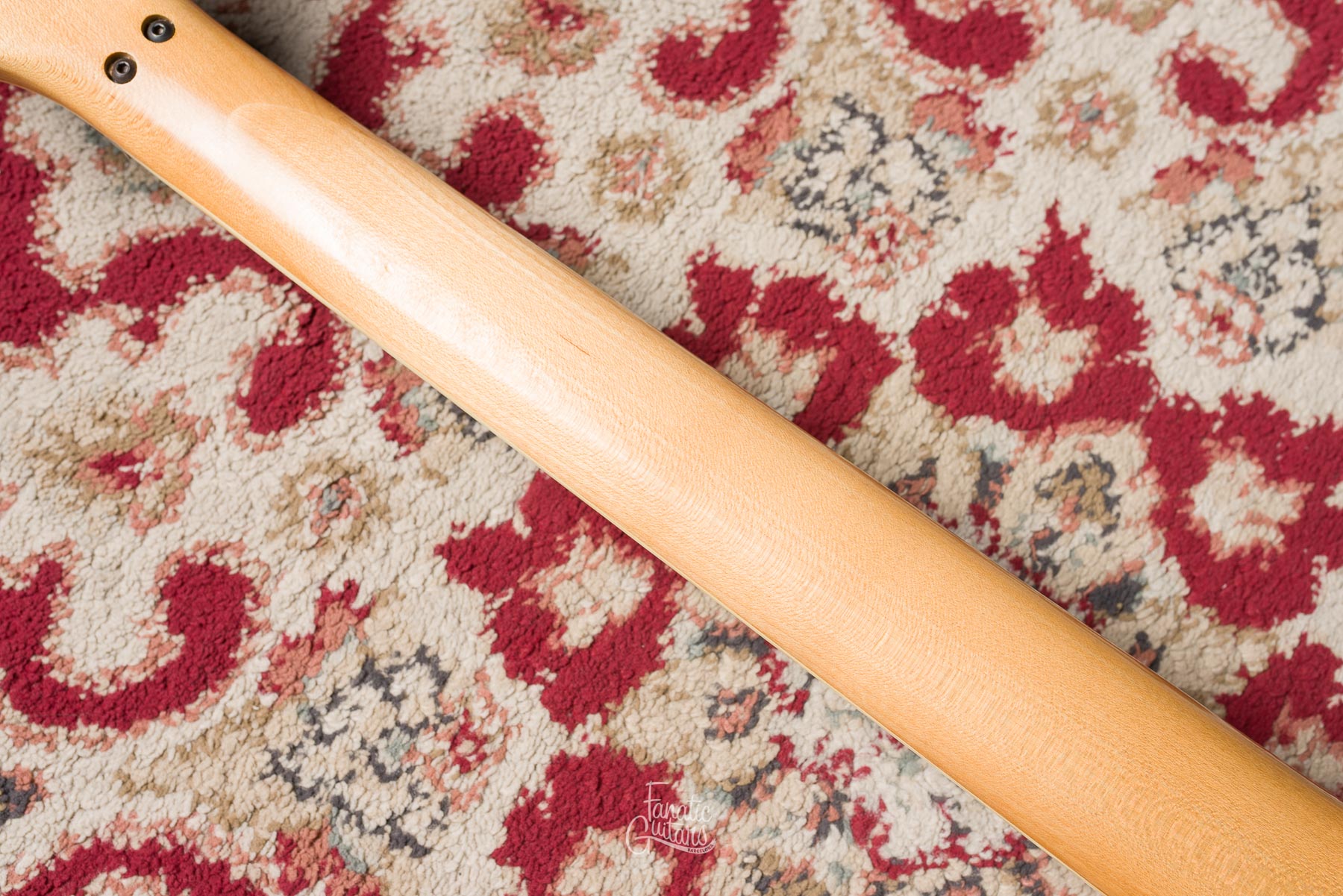 Ibanez Frank Gambale Signature FGM100 - Black #F134779 Second Hand