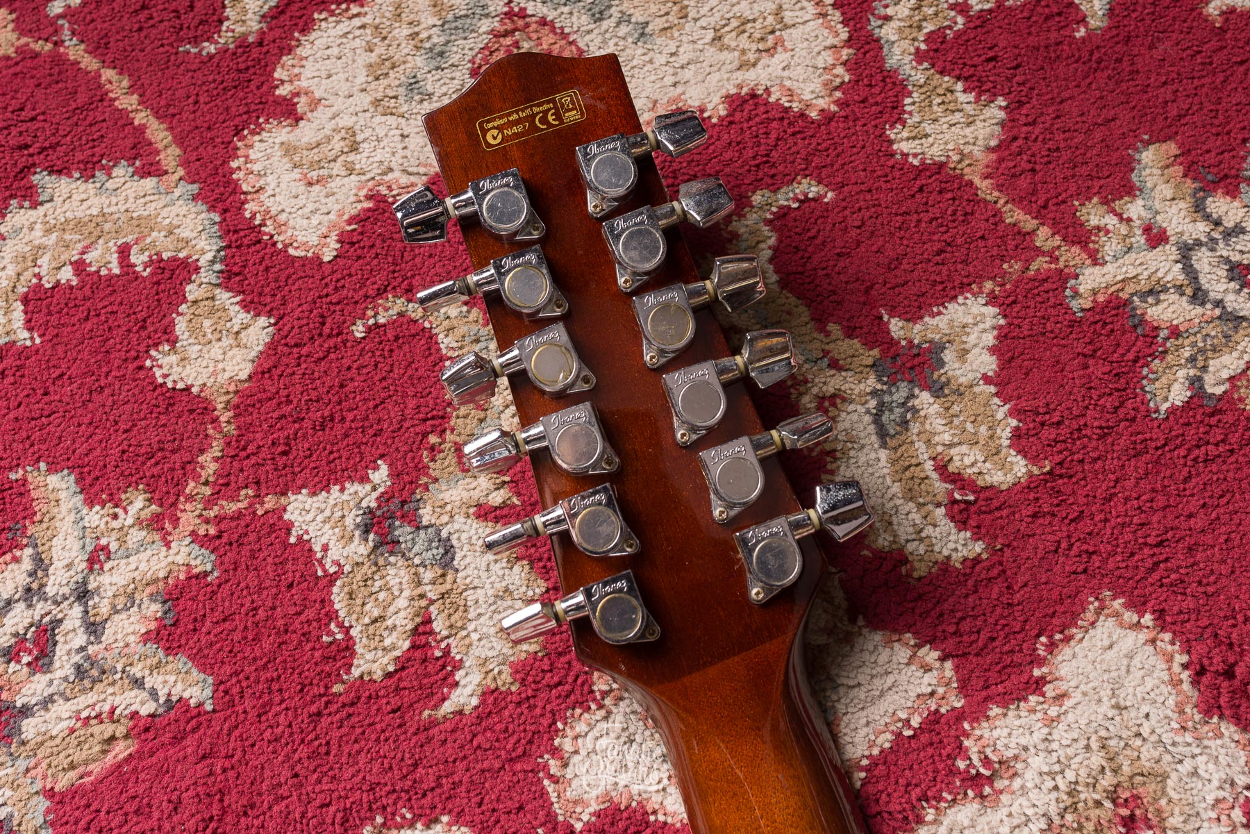 Ibanez EW2012WNE 12-Cuerdas - Natural #SQ07074440 Segunda Mano
