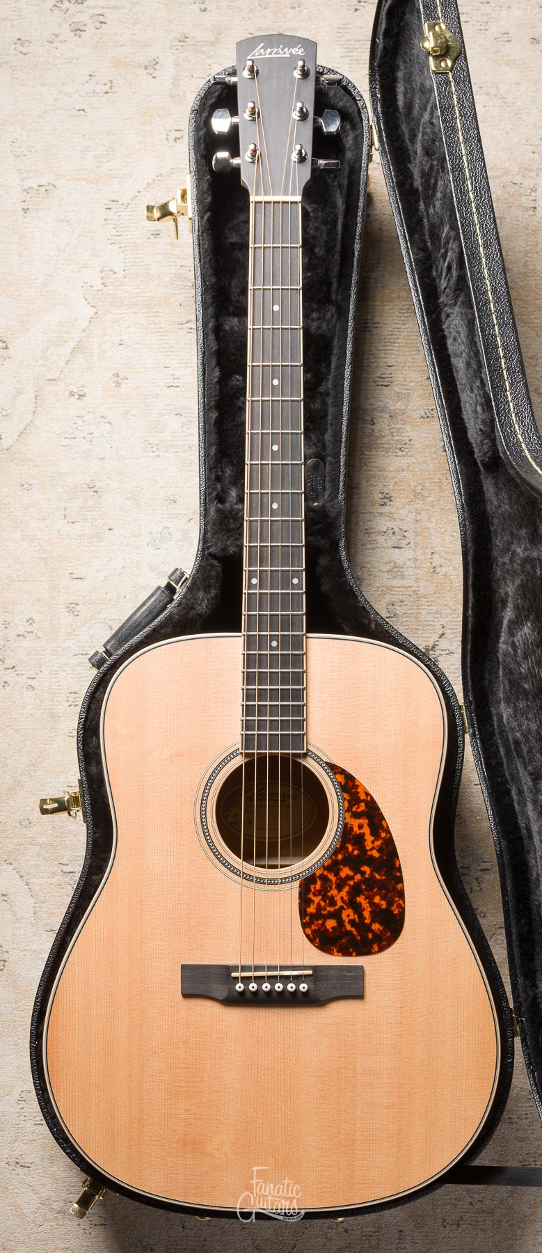 Larrivée D-03E Mahogany w/Stage Pro Element