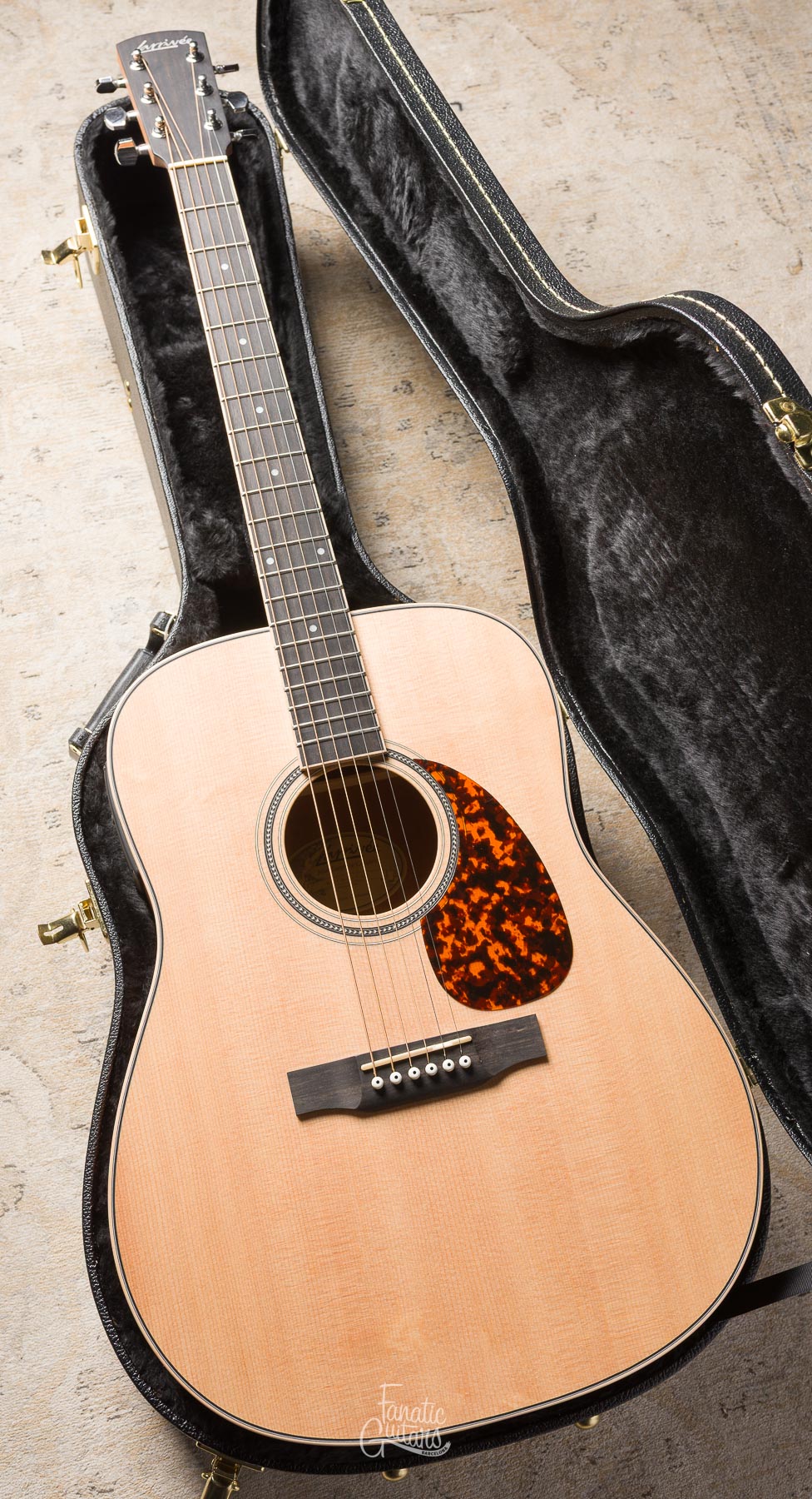 Larrivée D-03E Mahogany w/Stage Pro Element