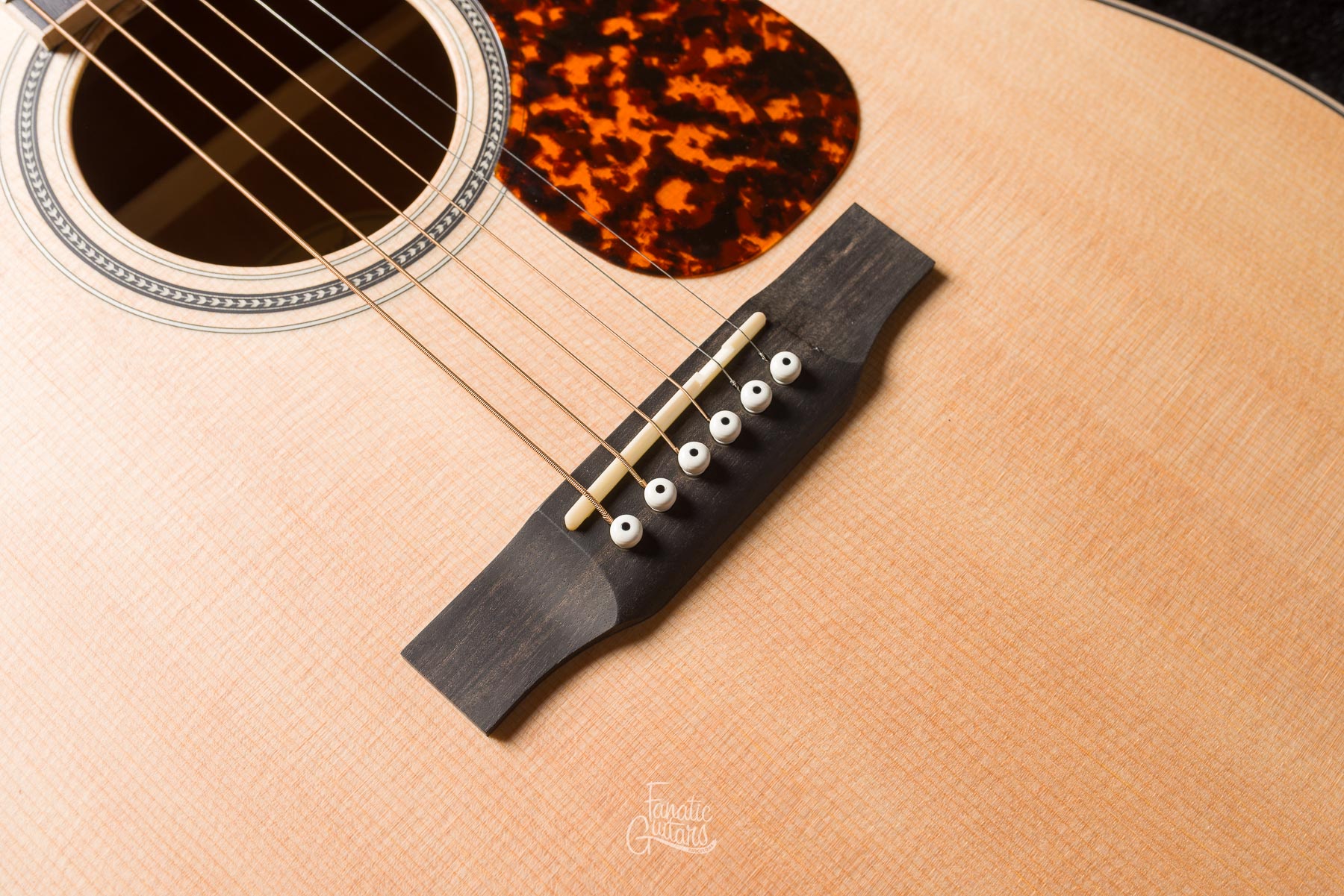 Larrivée D-03E Mahogany w/Stage Pro Element