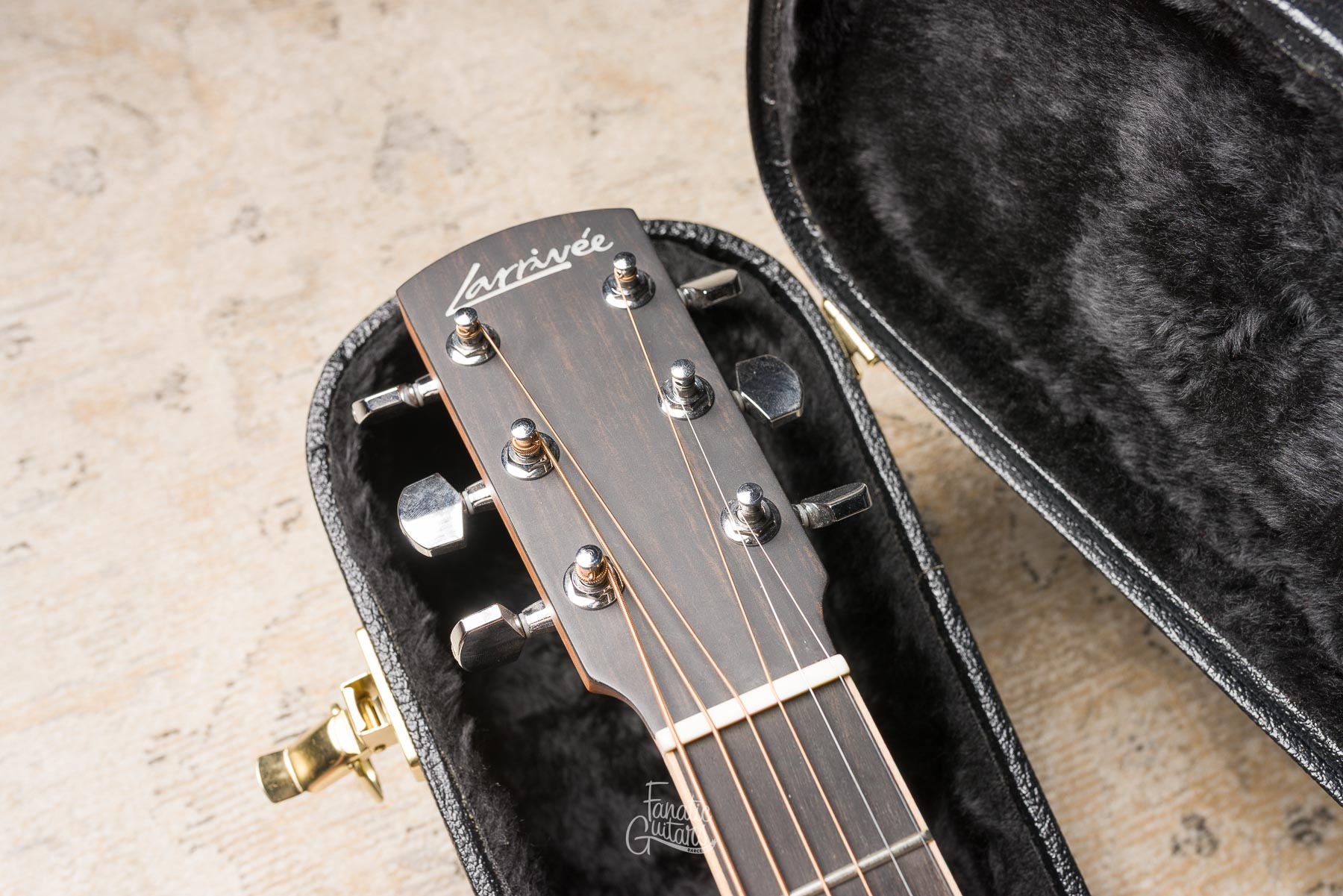 Larrivée D-03E Mahogany w/Stage Pro Element