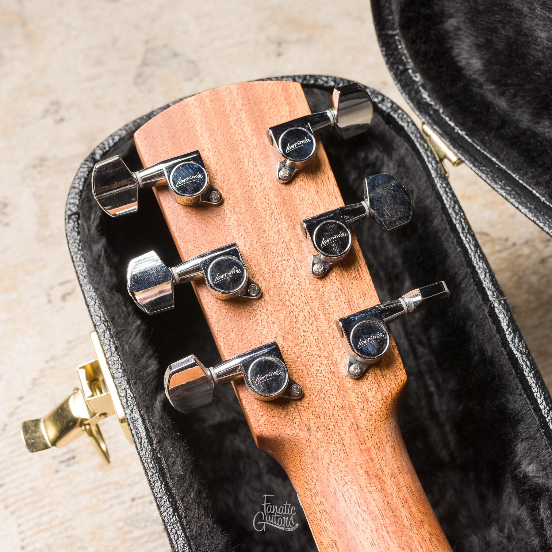 Larrivée D-03E Mahogany w/Stage Pro Element