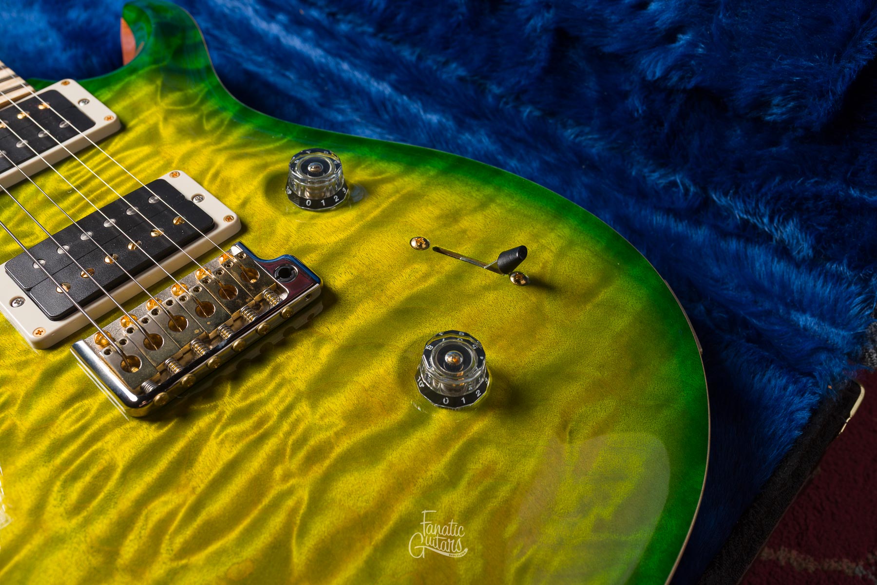 PRS Custom 24 Wood Library - Eriza Verde #232064 Segunda Mano