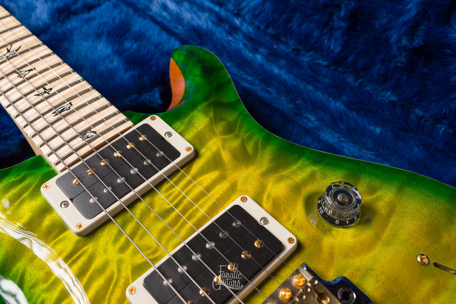 PRS Custom 24 Wood Library - Eriza Verde #232064 Segunda Mano