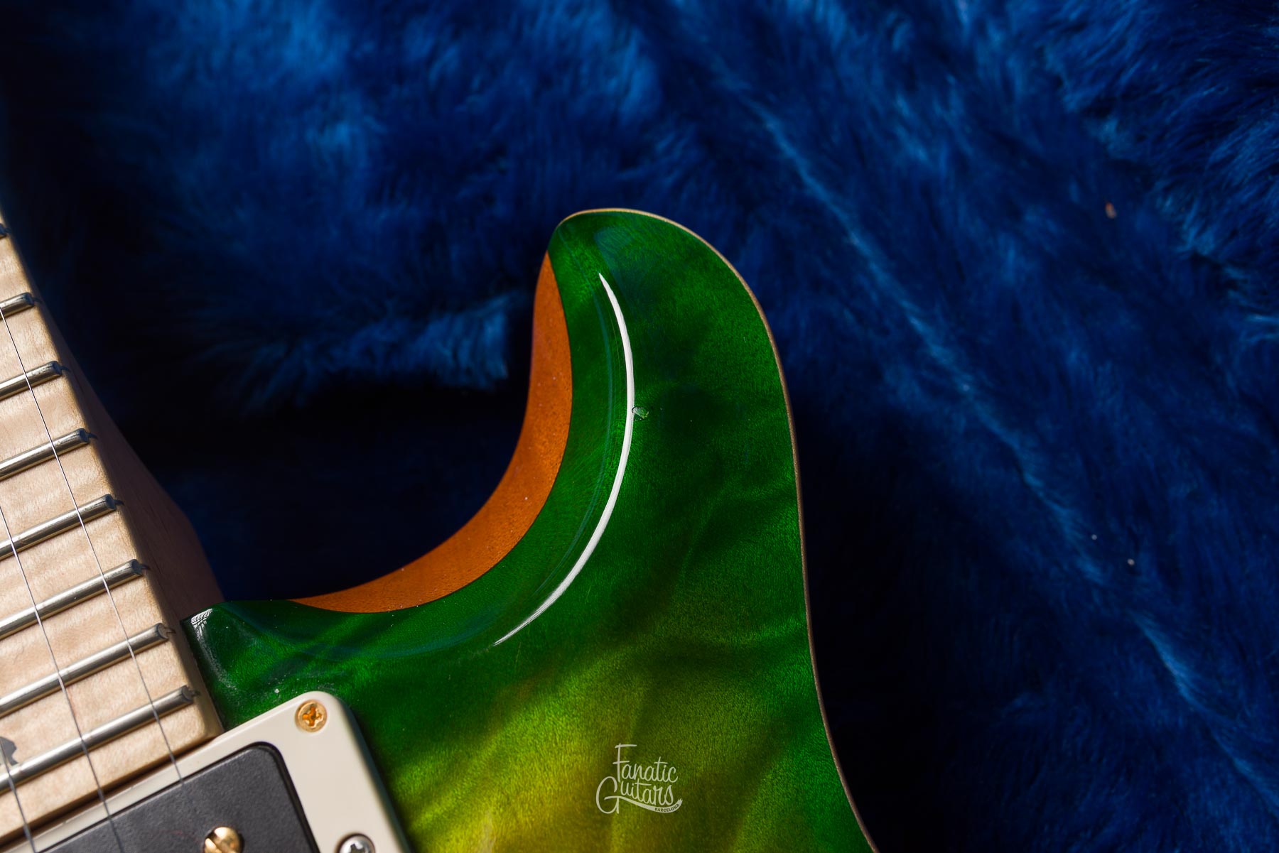 PRS Custom 24 Wood Library - Eriza Verde #232064 Segunda Mano