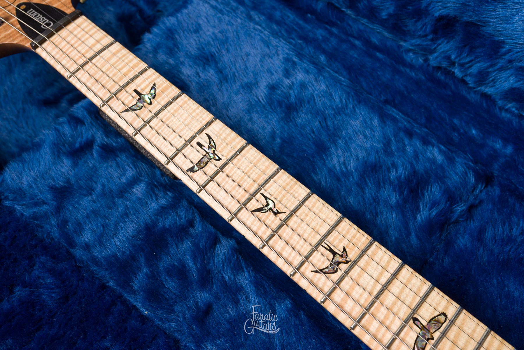 PRS Custom 24 Wood Library - Eriza Verde #232064 Segunda Mano