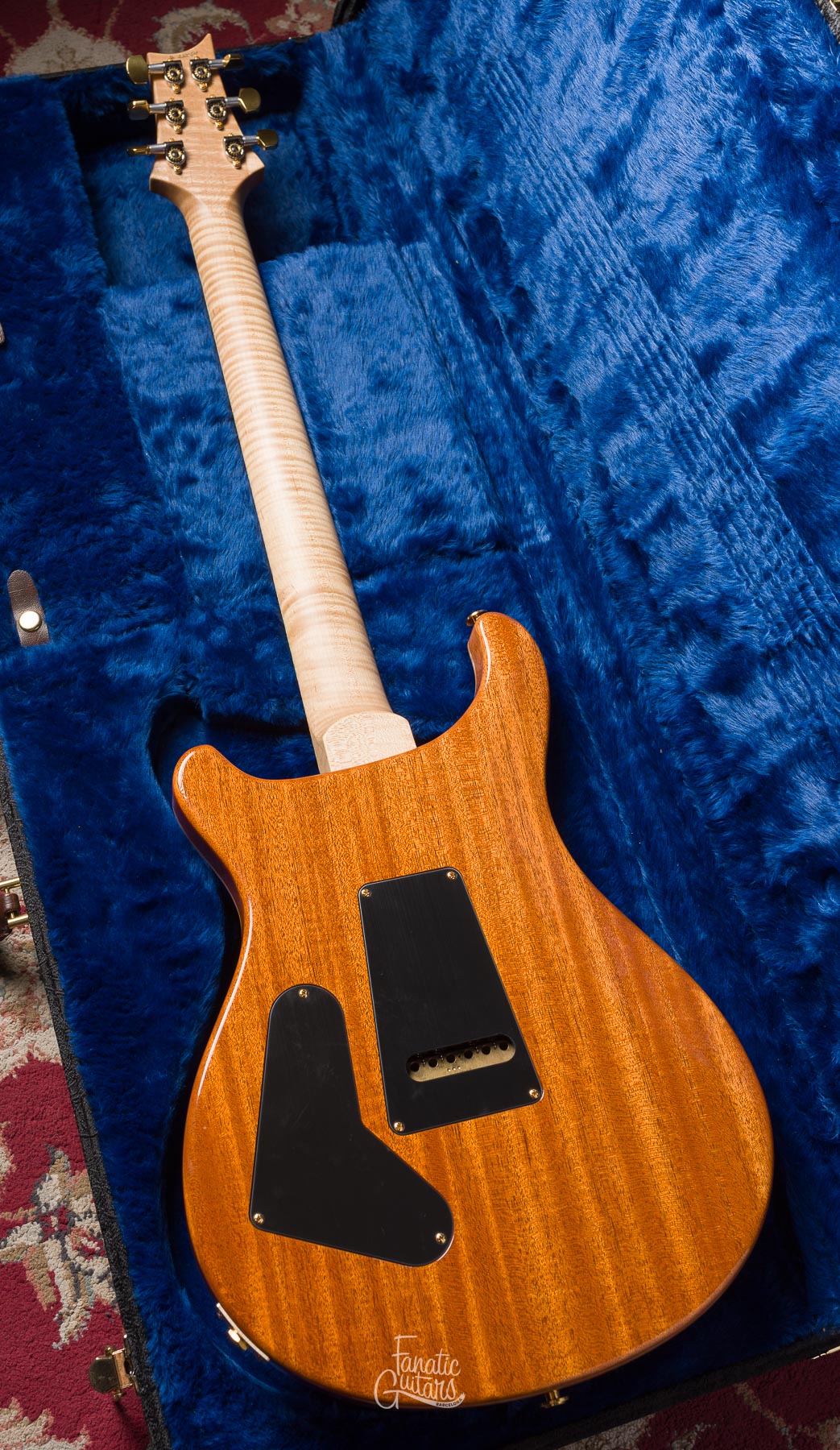 PRS Custom 24 Wood Library - Eriza Verde #232064 Segunda Mano