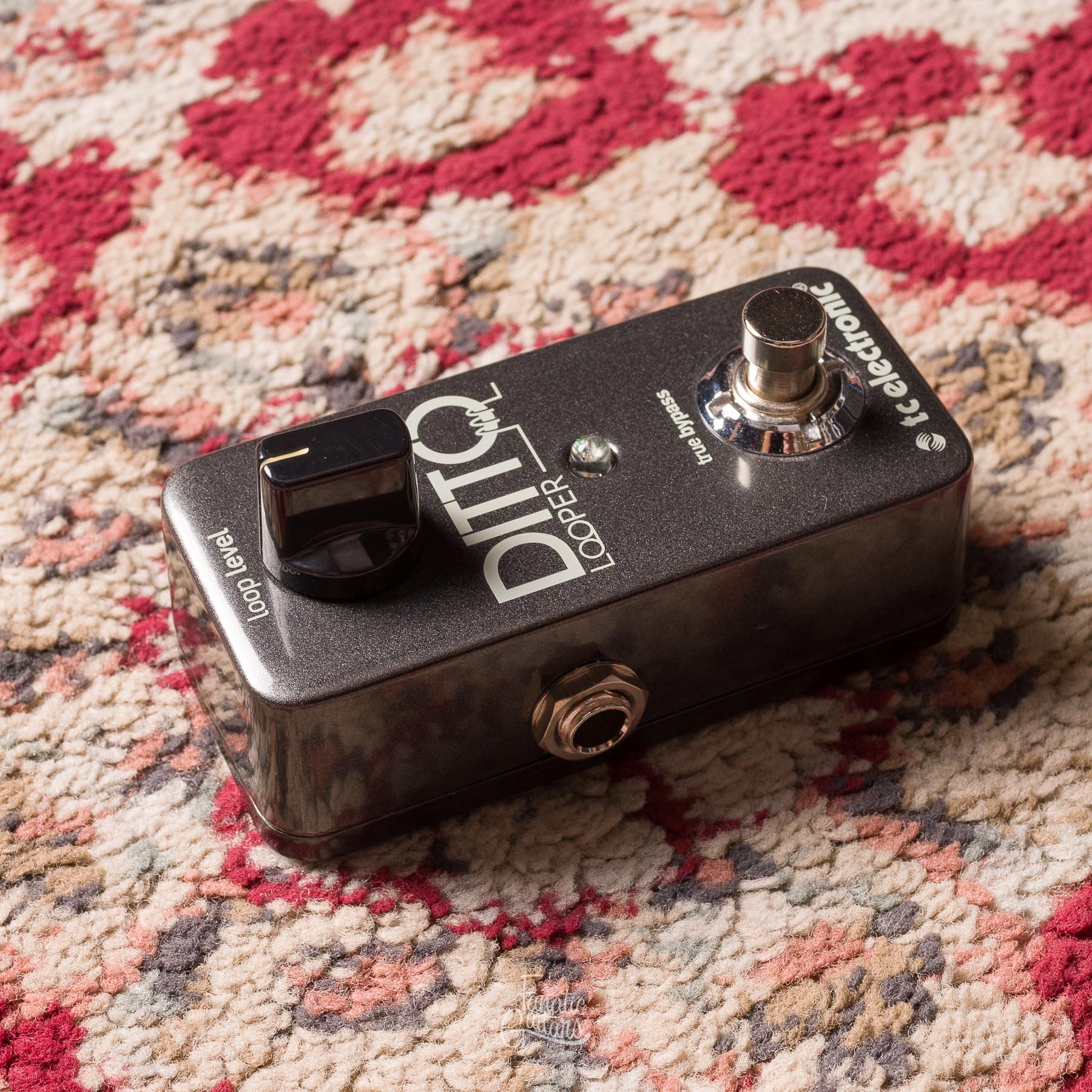 TC Electronic Ditto Looper #S180810564DD4 Segunda Mano