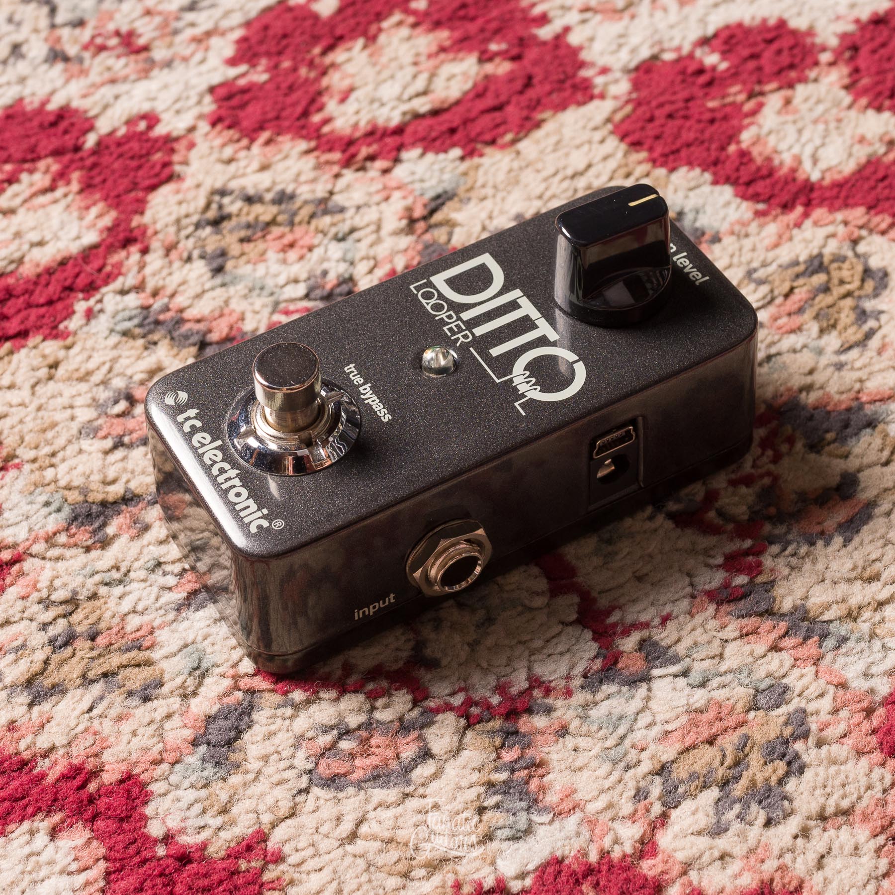 TC Electronic Ditto Looper #S180810564DD4 Segunda Mano