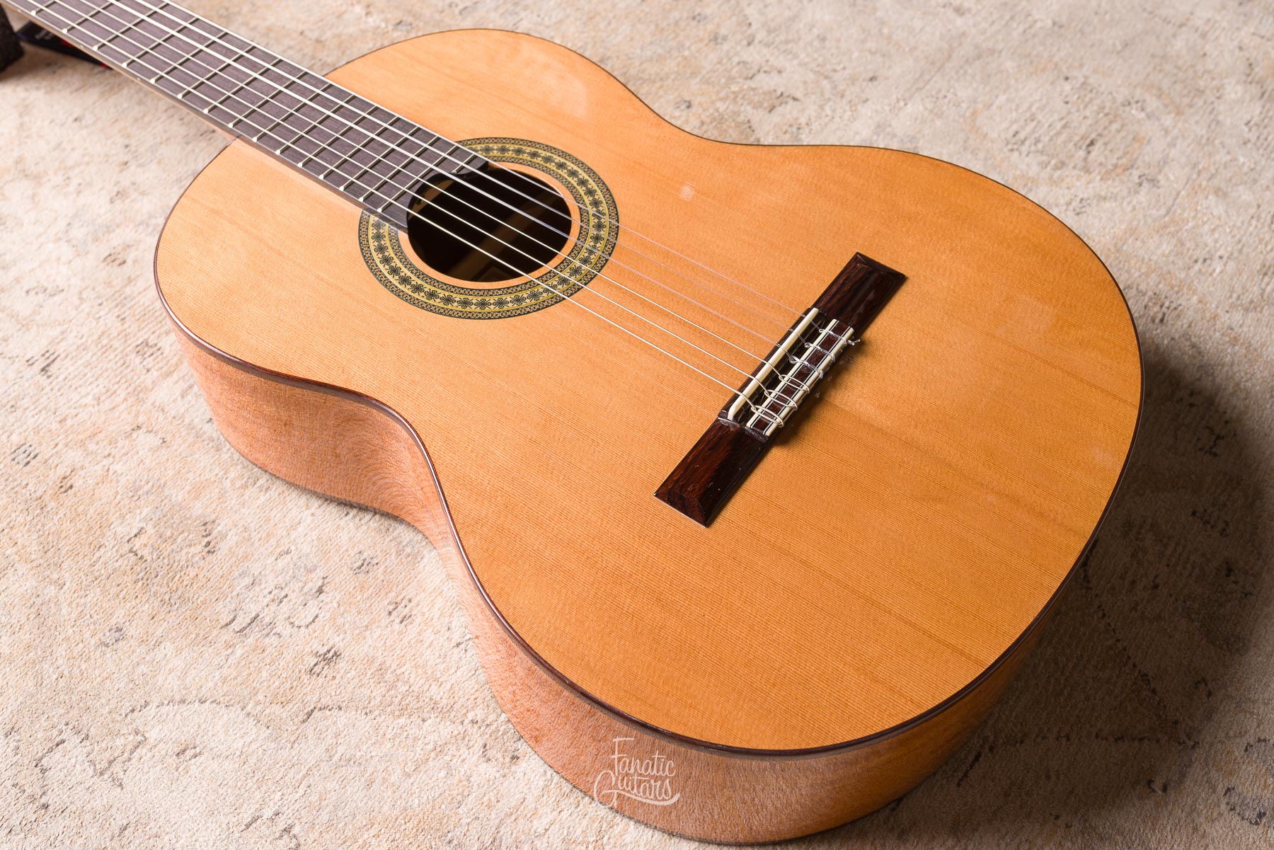 Vicente Tatay C320.305CD Gloss Classical Guitar