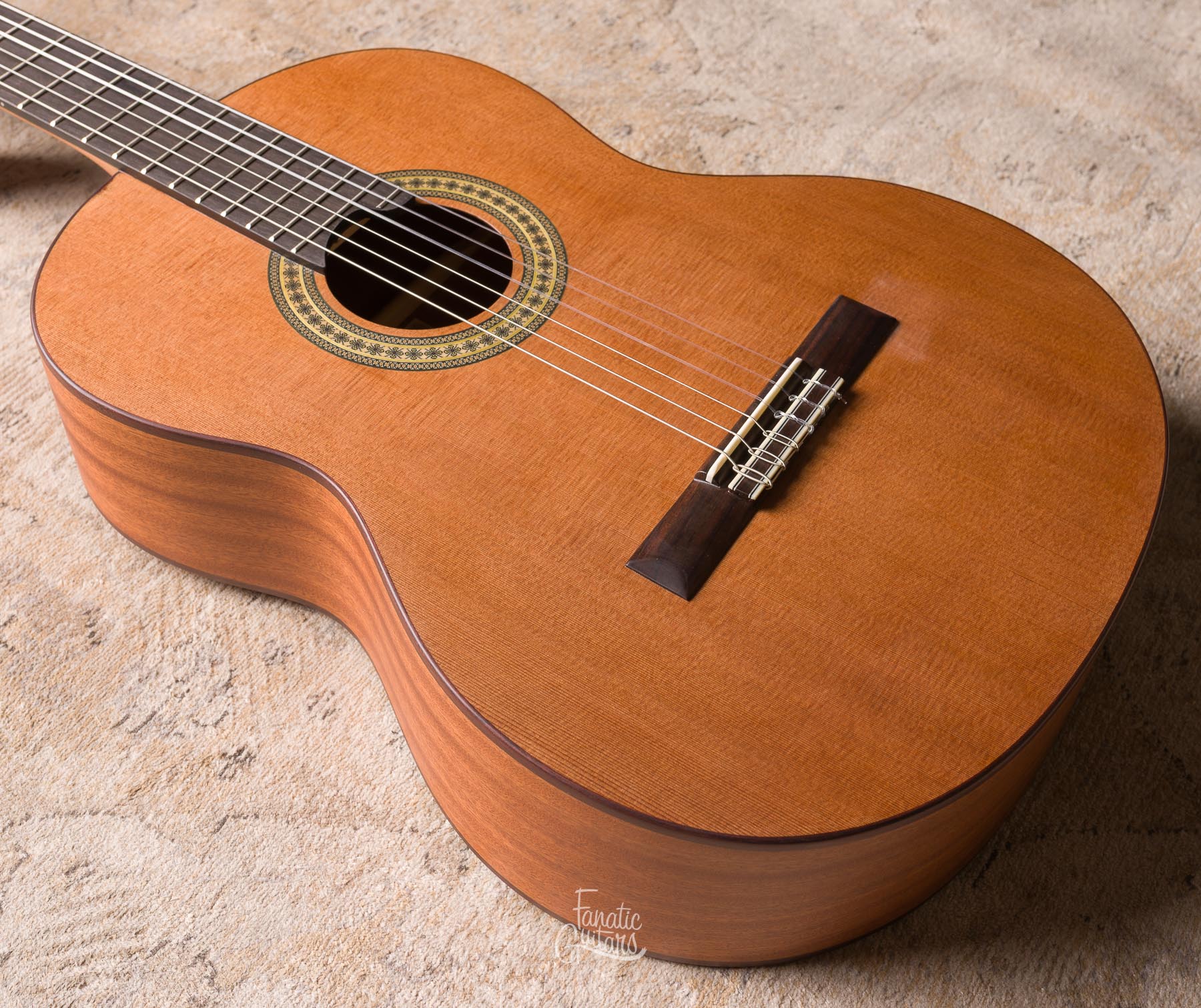 Vicente Tatay C320.305 Satin Guitarra Clásica