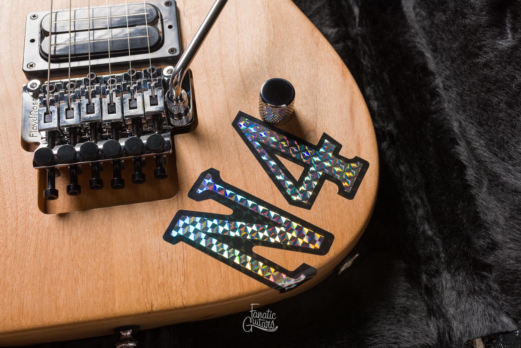 Washburn Nuno Bettencourt N4-Nuno Vintage USA #2506513