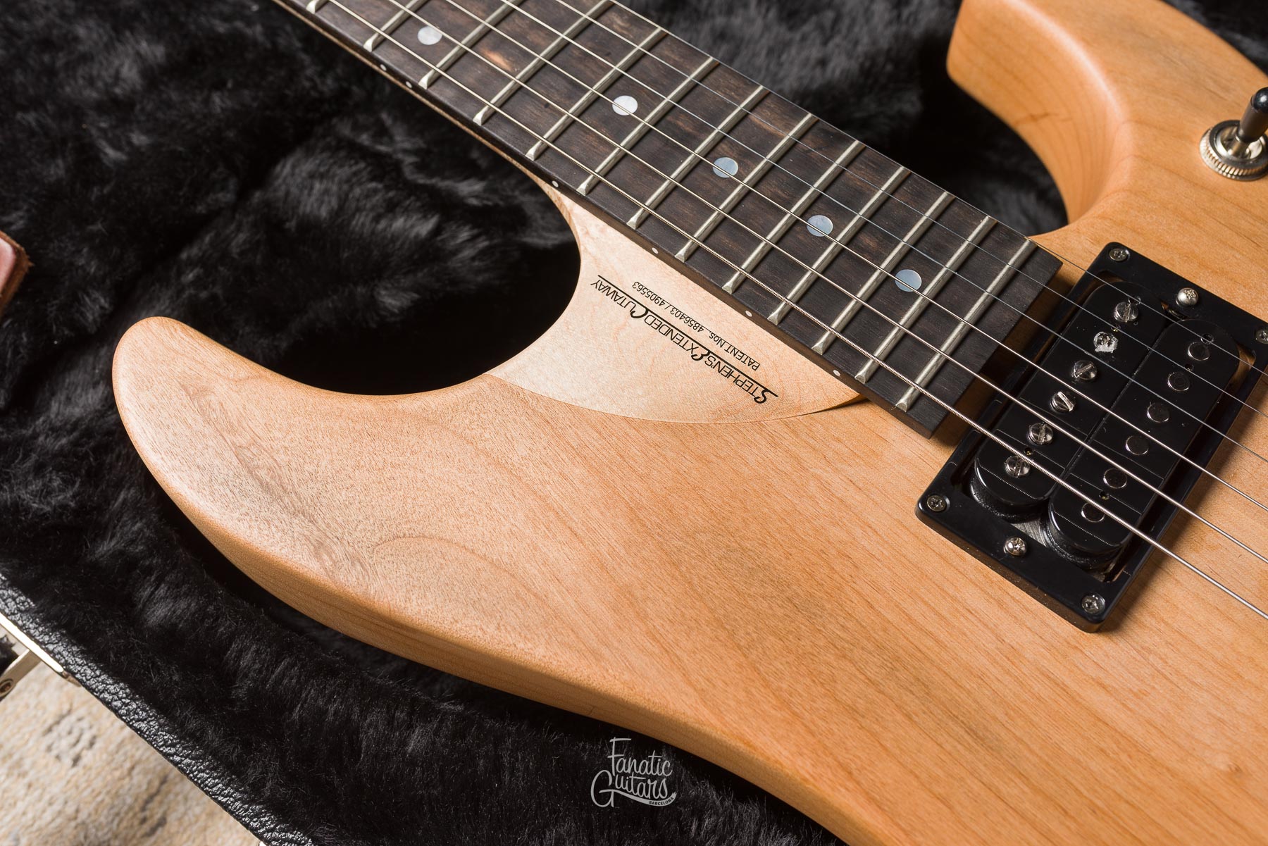 Washburn Nuno Bettencourt N4-Nuno Vintage USA #2506513