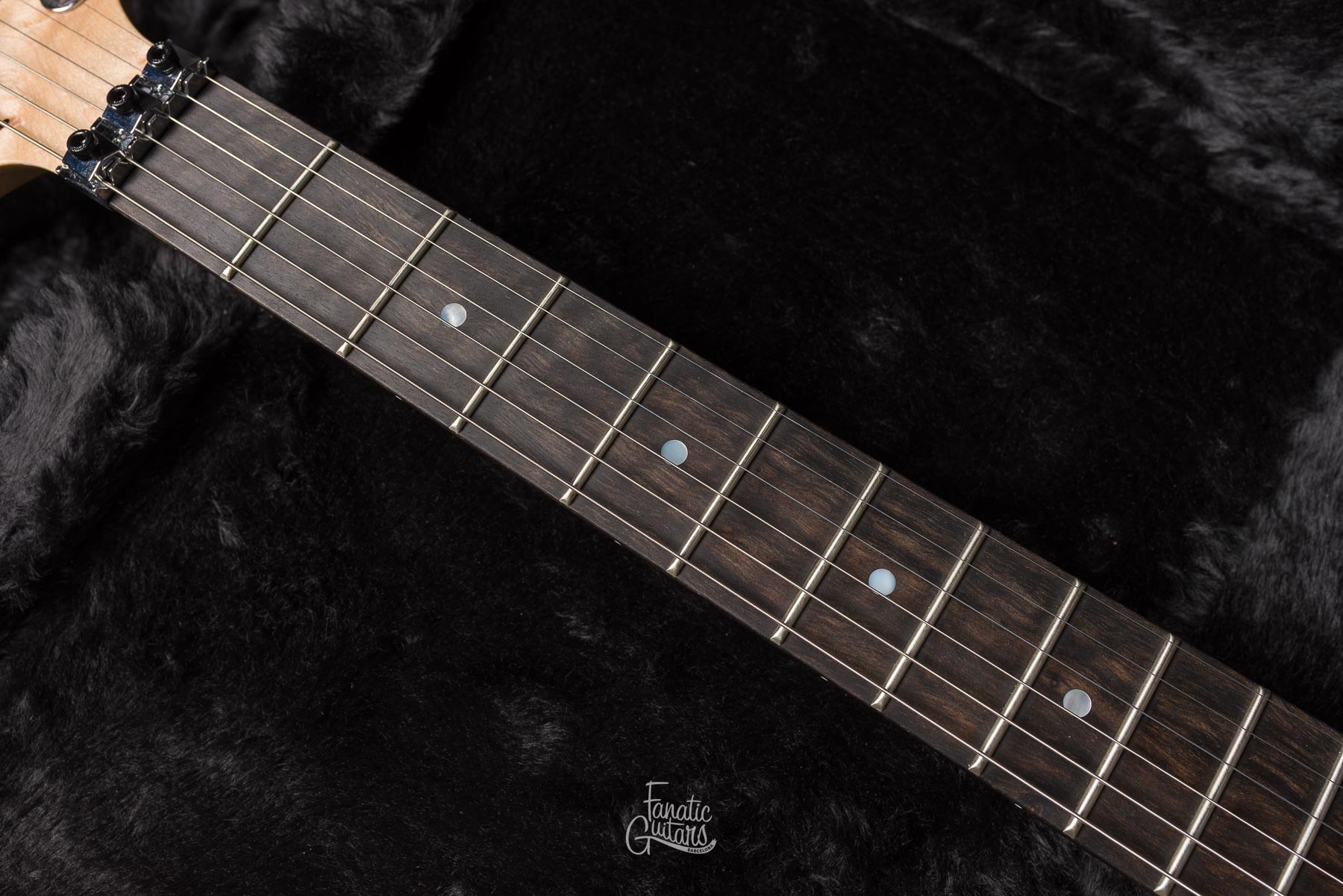 Washburn Nuno Bettencourt N4-Nuno Vintage USA #2506513