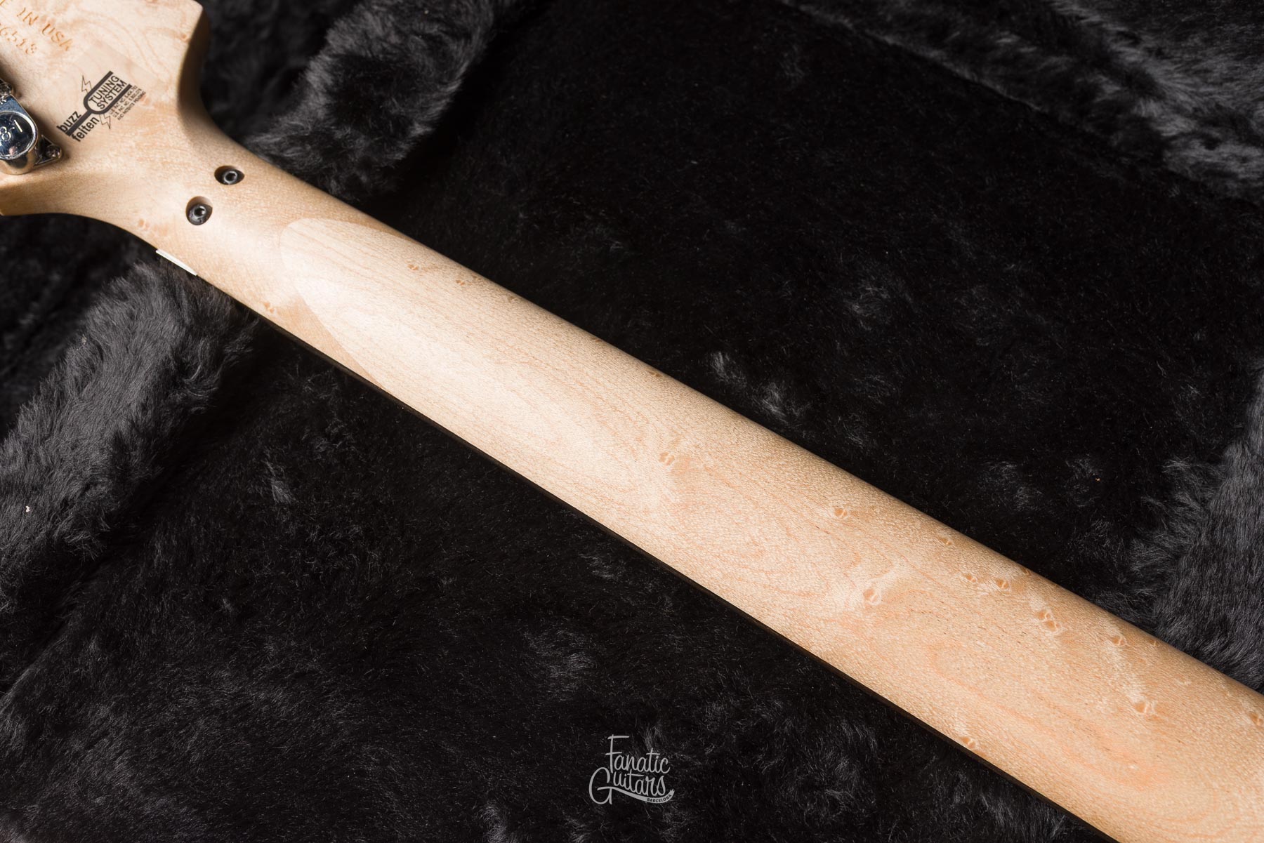 Washburn Nuno Bettencourt N4-Nuno Vintage USA #2506513