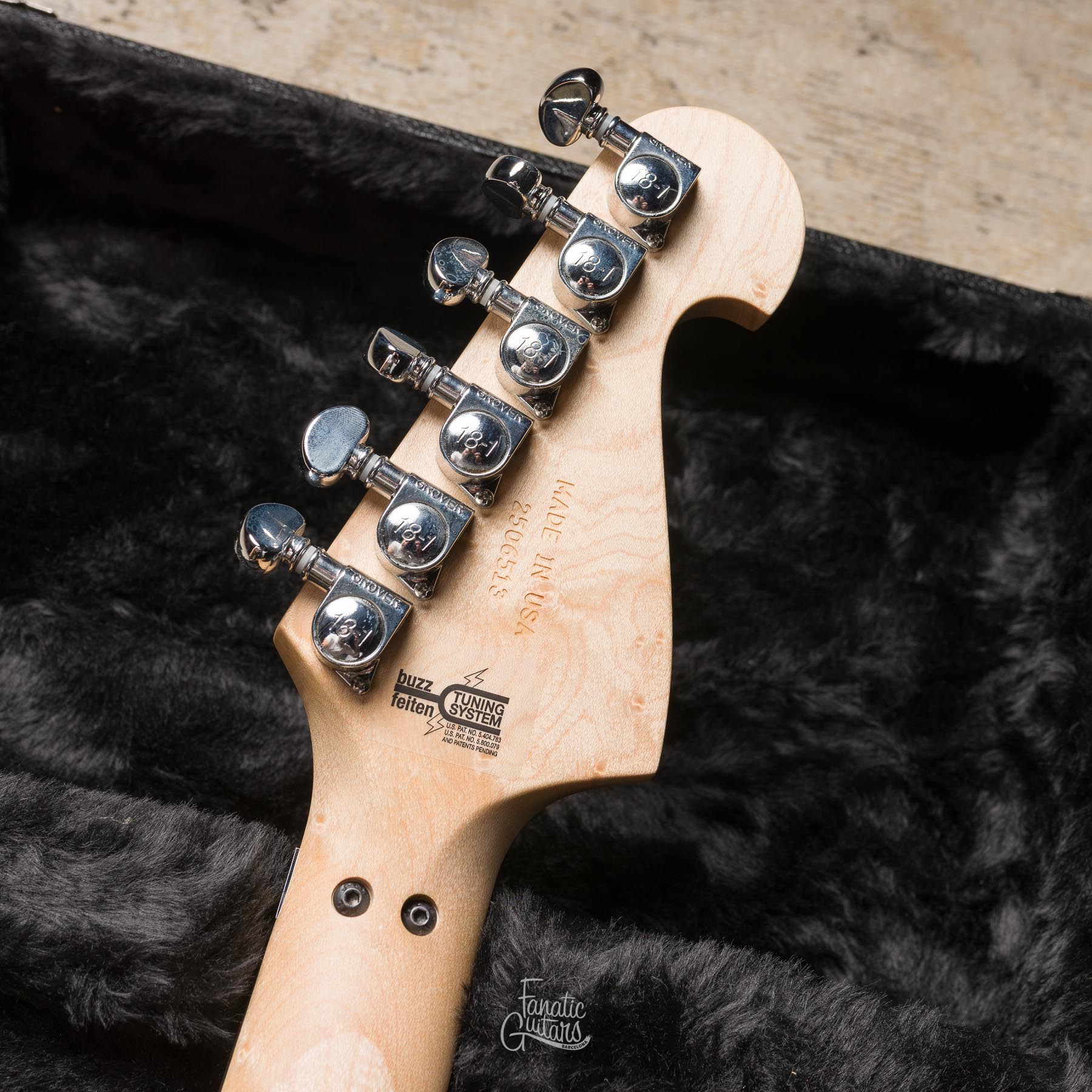 Washburn Nuno Bettencourt N4-Nuno Vintage USA #2506513