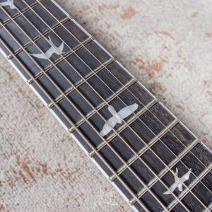 PRS Guitars Mark Holcomb SVN Natural Satin B-Stock