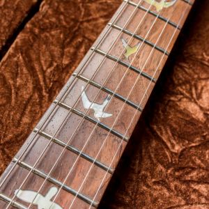 PRS Private Stock #6398 Custom 24