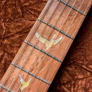 PRS Private Stock #6398 Custom 24