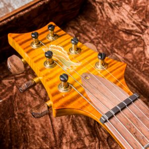 PRS Private Stock #6398 Custom 24