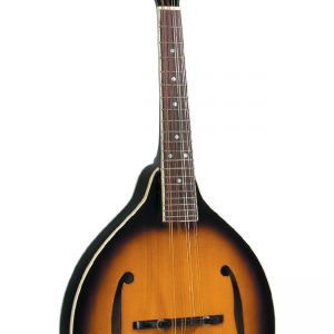 Rover RM-50 Deluxe Mandolin - Traditional Sunburst