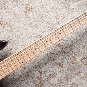 Sadowsky MetroLine 22-5 Will Lee - '59 Burst Transparent