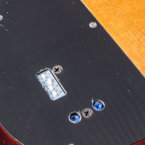 Sadowsky MetroLine 22-5 Will Lee - '59 Burst Transparent