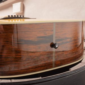 Santa Cruz Tony Rice Professional