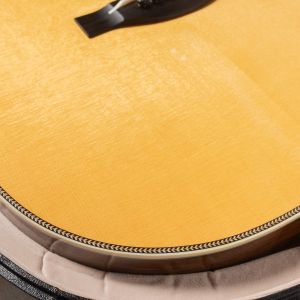 Santa Cruz Tony Rice Professional