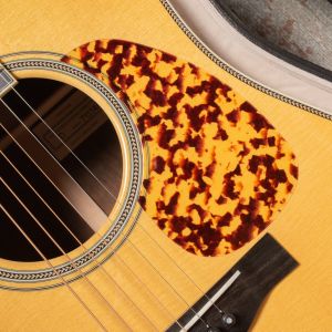 Santa Cruz Tony Rice Professional