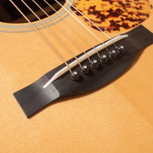 Santa Cruz 1934D Brazilian Rosewood