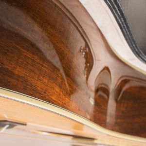 Santa Cruz 1934D Brazilian Rosewood