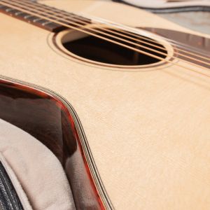 Santa Cruz OOO Custom