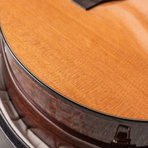 Santa Cruz Guitars OM Pre-War #5671 Guitarra Acústica