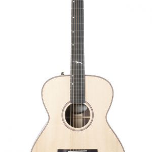 Seagull Artist Studio Concert Hall con LR Baggs