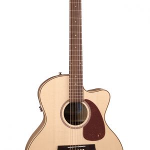 Seagull Performer CW QIT