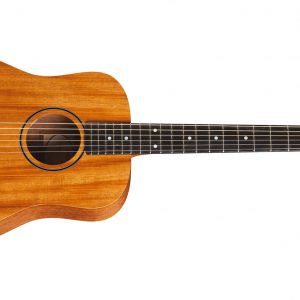 Taylor Baby BT2e