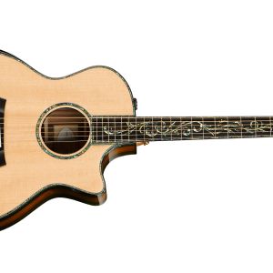 Taylor PS14ce