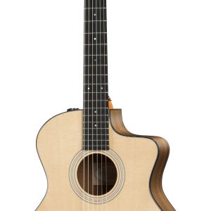 Taylor 114ce-N Nylon